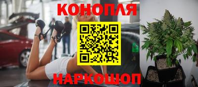 молекула духа Жуковский