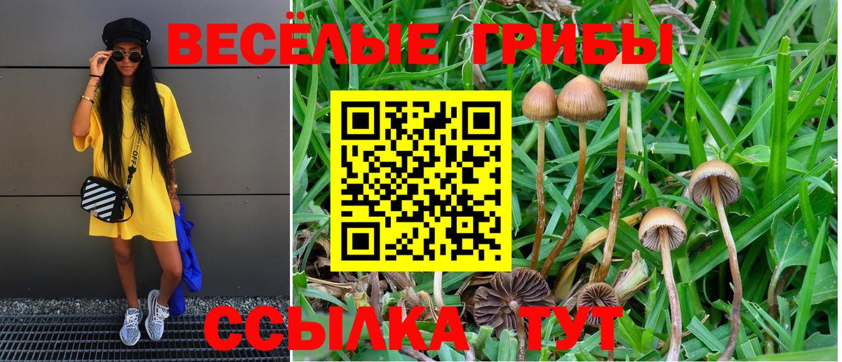 Ливны  Галлюциногенные грибы прущие грибы  Вход с VPN 